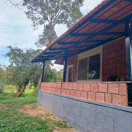 Nature Spot Cottages Coorg Kurchi Eksteriør bilde