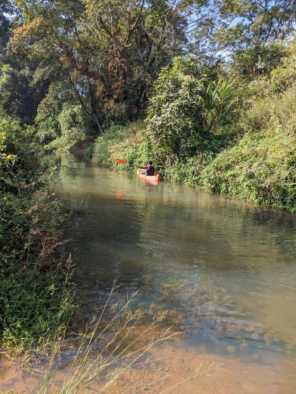 Nature Spot Cottages Coorg Kurchi Eksteriør bilde