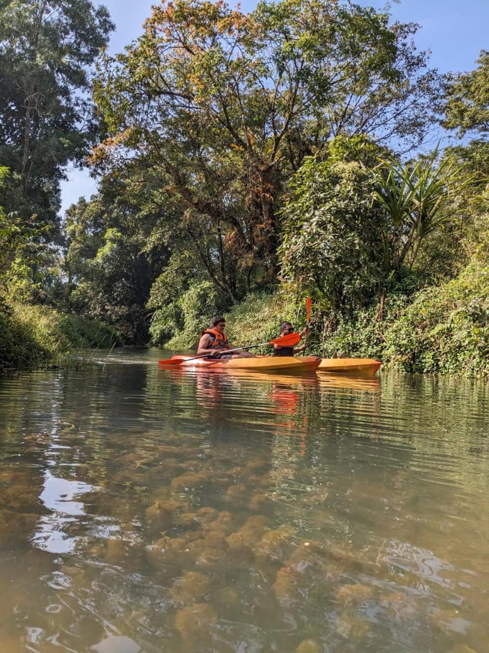 Nature Spot Cottages Coorg Kurchi Eksteriør bilde